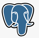 PostgreSQL icon